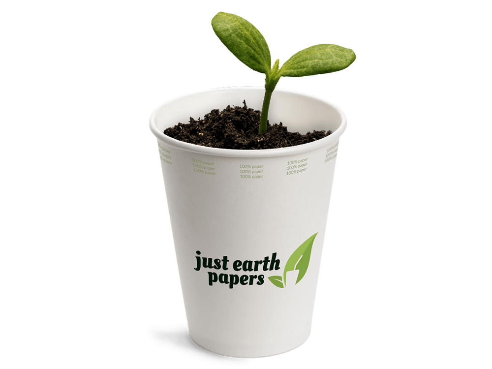 jep cup plant